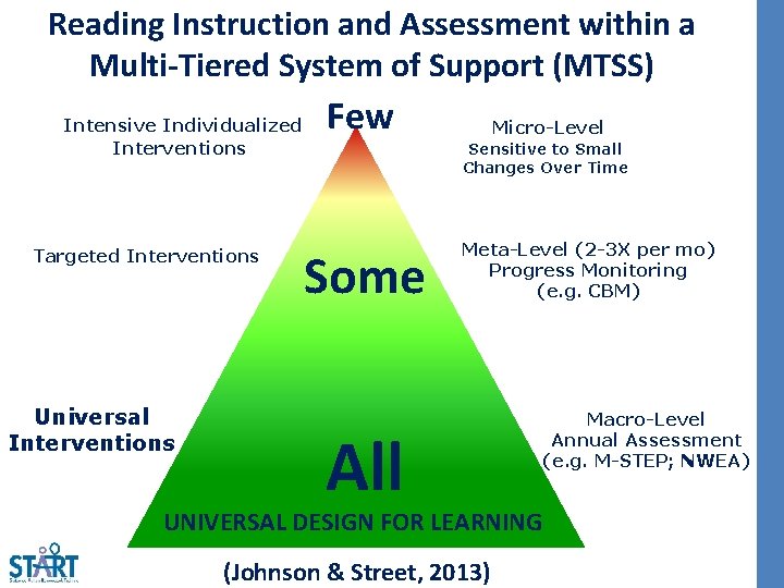 Reading Instruction and Assessment within a Multi-Tiered System of Support (MTSS) Intensive Individualized Interventions