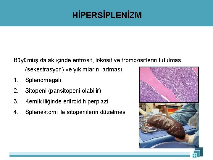 HİPERSİPLENİZM Büyümüş dalak içinde eritrosit, lökosit ve trombositlerin tutulması (sekestrasyon) ve yıkımlarını artması 1.