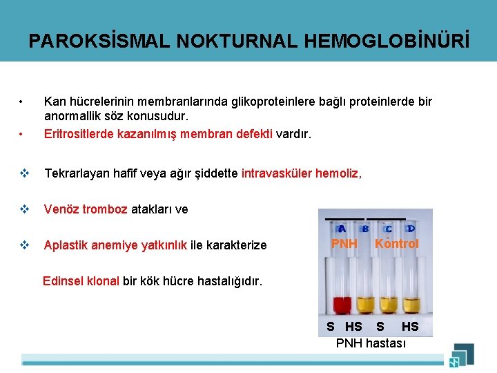 PAROKSİSMAL NOKTURNAL HEMOGLOBİNÜRİ • • Kan hücrelerinin membranlarında glikoproteinlere bağlı proteinlerde bir anormallik söz