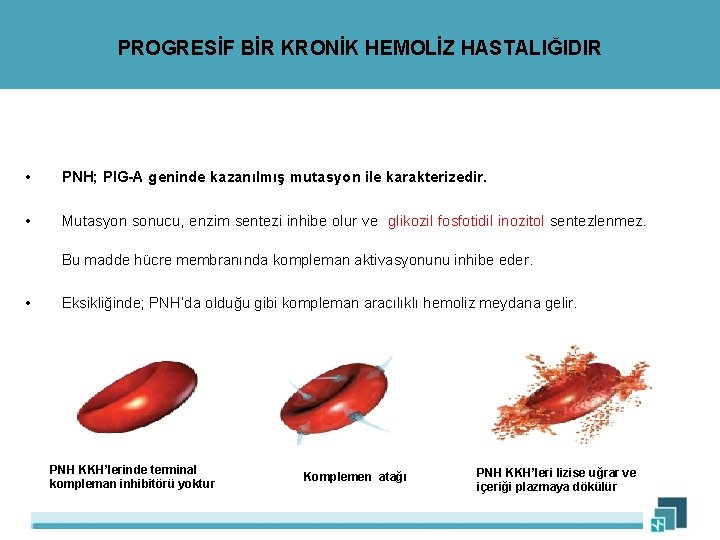 PROGRESİF BİR KRONİK HEMOLİZ HASTALIĞIDIR • PNH; PIG-A geninde kazanılmış mutasyon ile karakterizedir. •