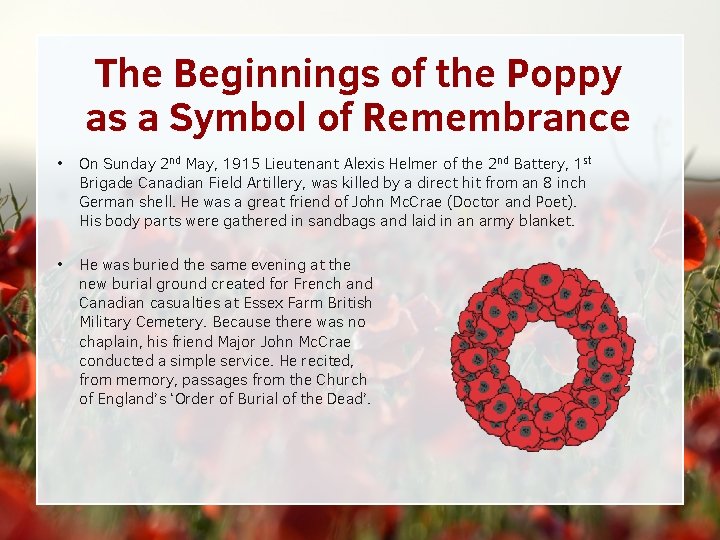 The Beginnings of the Poppy as a Symbol of Remembrance • On Sunday 2