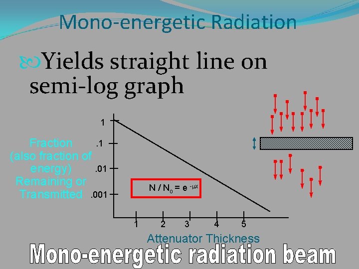 Mono-energetic Radiation Yields straight line on semi-log graph 1. 1 Fraction (also fraction of.