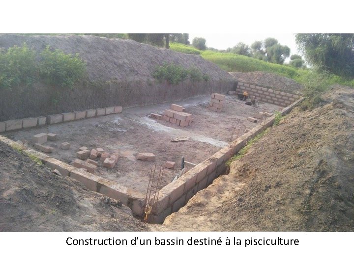 Construction d’un bassin destiné à la pisciculture 