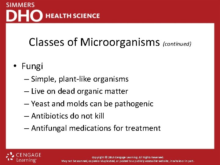 Classes of Microorganisms (continued) • Fungi – Simple, plant-like organisms – Live on dead