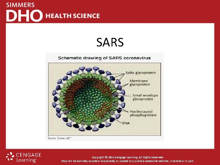 SARS Copyright © 2014 Cengage Learning. All Rights Reserved. May not be scanned, copied