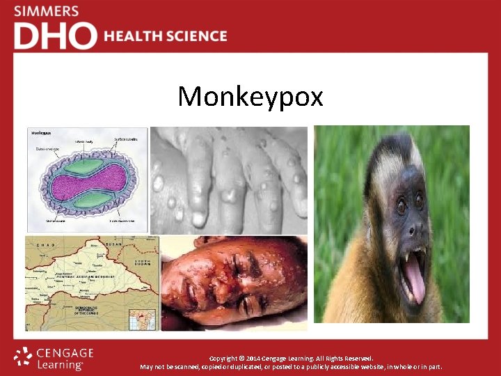 Monkeypox Copyright © 2014 Cengage Learning. All Rights Reserved. May not be scanned, copied