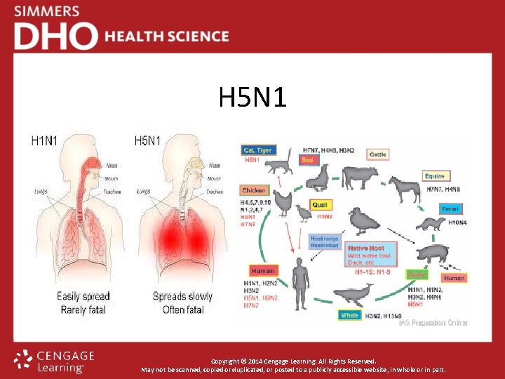 H 5 N 1 Copyright © 2014 Cengage Learning. All Rights Reserved. May not