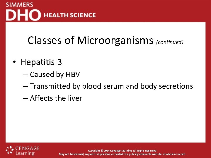 Classes of Microorganisms (continued) • Hepatitis B – Caused by HBV – Transmitted by
