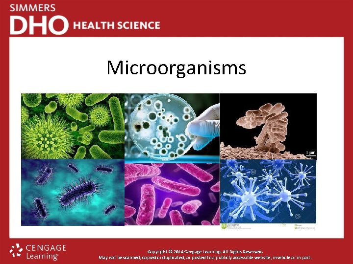 Microorganisms Copyright © 2014 Cengage Learning. All Rights Reserved. May not be scanned, copied