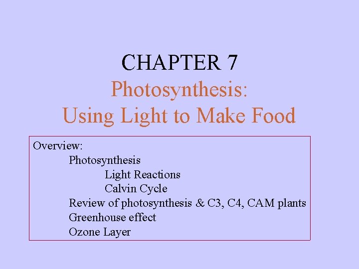 CHAPTER 7 Photosynthesis: Using Light to Make Food Overview: Photosynthesis Light Reactions Calvin Cycle