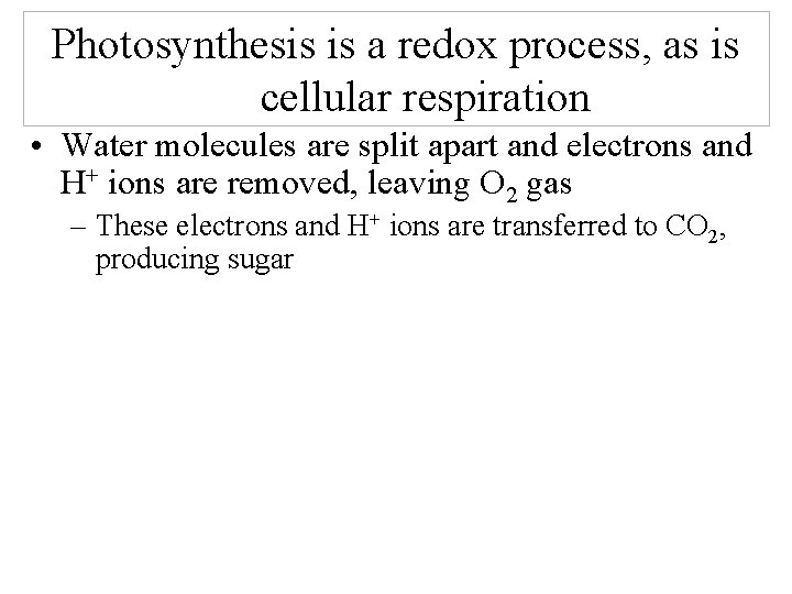 Photosynthesis is a redox process, as is cellular respiration • Water molecules are split