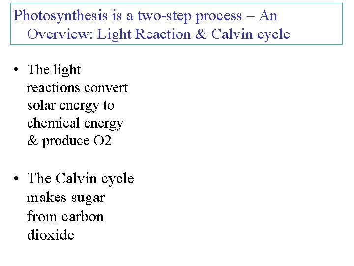 Photosynthesis is a two-step process – An Overview: Light Reaction & Calvin cycle •