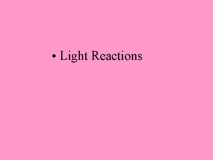  • Light Reactions 