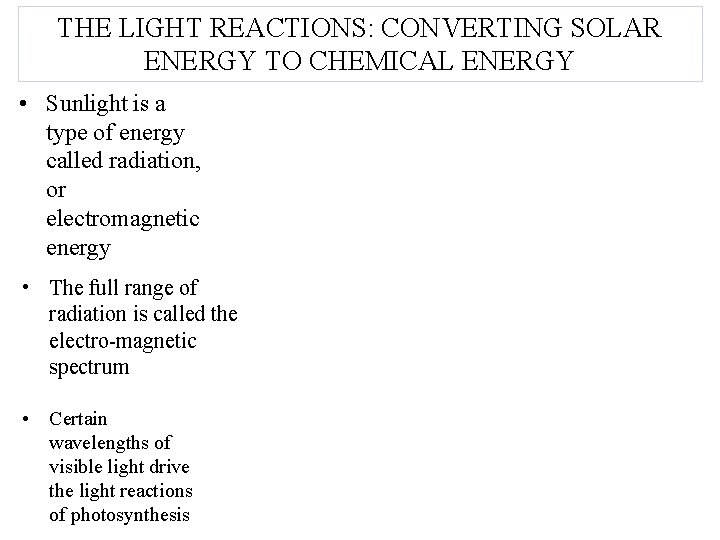 THE LIGHT REACTIONS: CONVERTING SOLAR ENERGY TO CHEMICAL ENERGY • Sunlight is a type