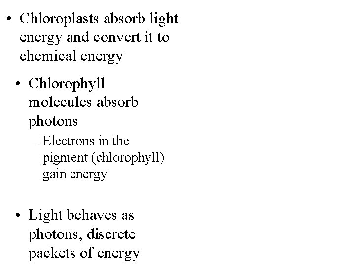  • Chloroplasts absorb light energy and convert it to chemical energy • Chlorophyll