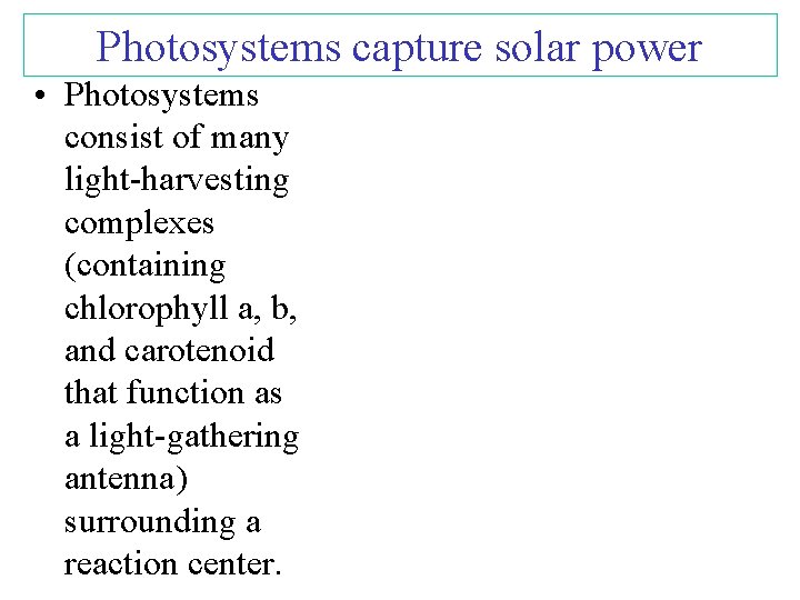 Photosystems capture solar power • Photosystems consist of many light-harvesting complexes (containing chlorophyll a,