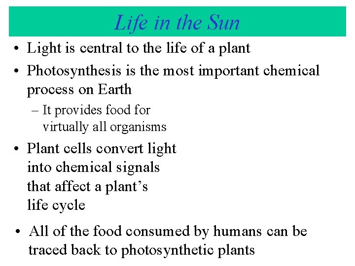 Life in the Sun • Light is central to the life of a plant