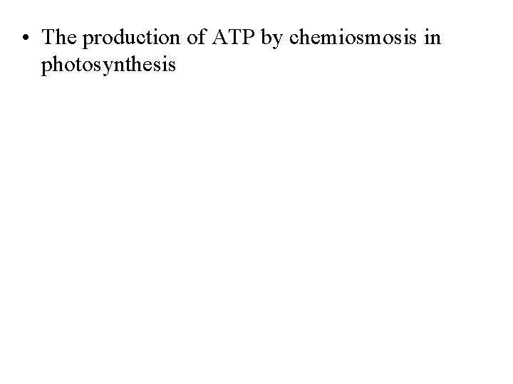  • The production of ATP by chemiosmosis in photosynthesis 