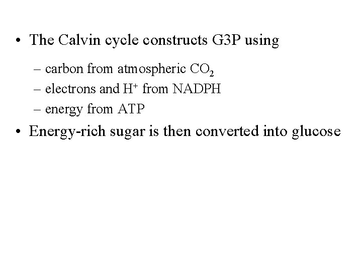  • The Calvin cycle constructs G 3 P using – carbon from atmospheric