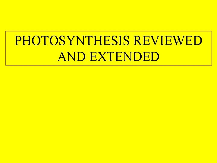 PHOTOSYNTHESIS REVIEWED AND EXTENDED 