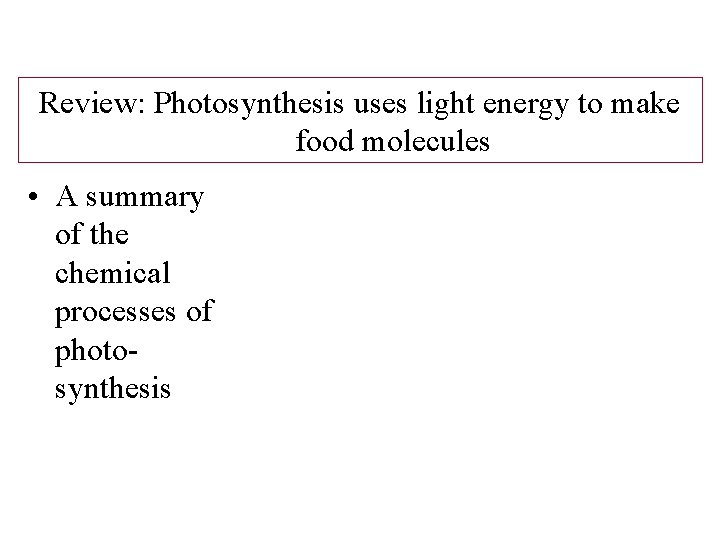 Review: Photosynthesis uses light energy to make food molecules • A summary of the