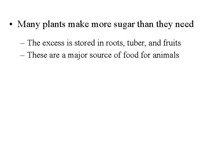  • Many plants make more sugar than they need – The excess is