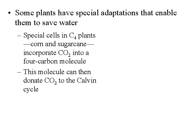  • Some plants have special adaptations that enable them to save water –