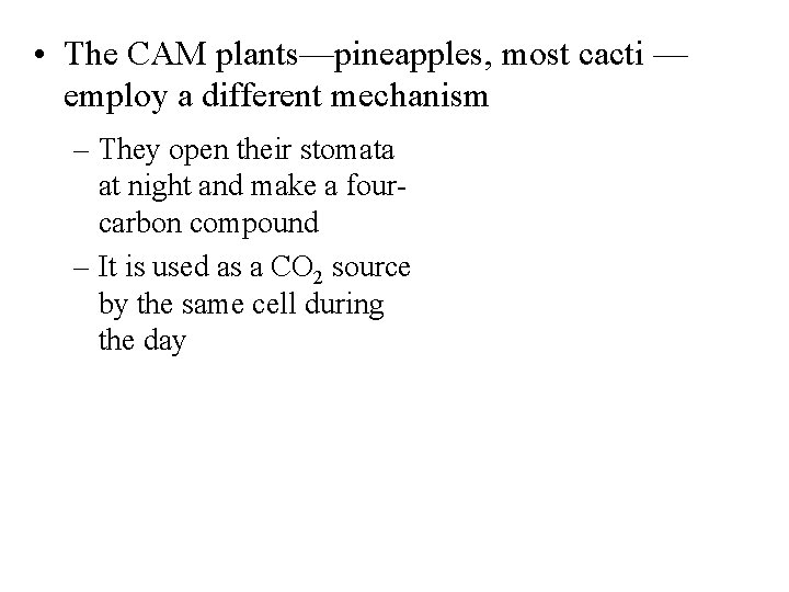  • The CAM plants—pineapples, most cacti — employ a different mechanism – They