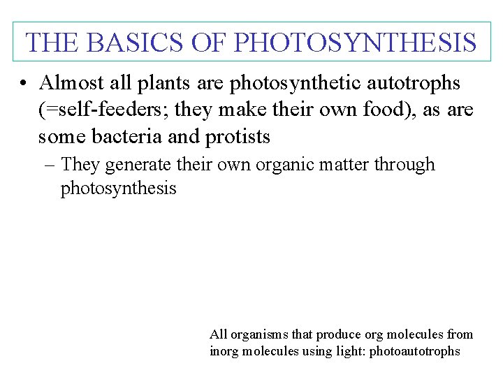 THE BASICS OF PHOTOSYNTHESIS • Almost all plants are photosynthetic autotrophs (=self-feeders; they make