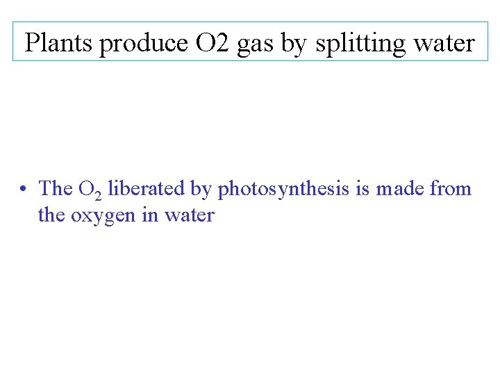 Plants produce O 2 gas by splitting water • The O 2 liberated by