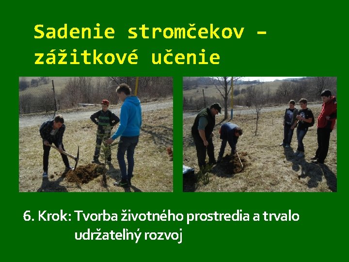 Sadenie stromčekov – zážitkové učenie 6. Krok: Tvorba životného prostredia a trvalo udržateľný rozvoj