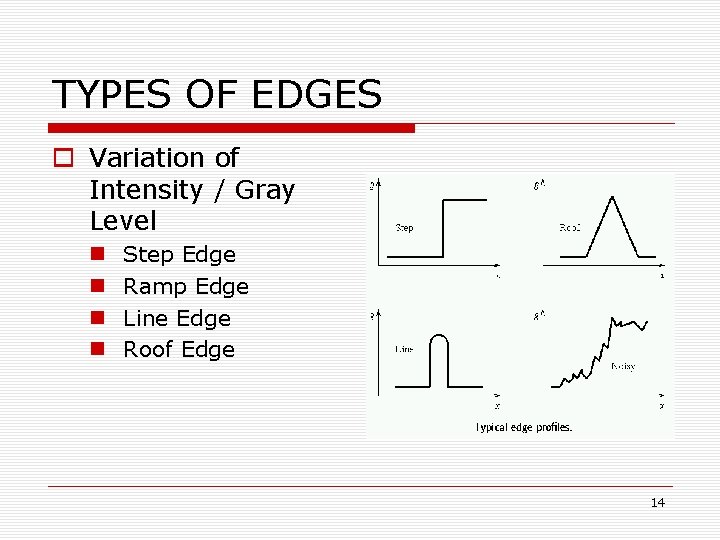 TYPES OF EDGES o Variation of Intensity / Gray Level n n Step Edge TYPES OF EDGES o Variation of Intensity / Gray Level n n Step Edge