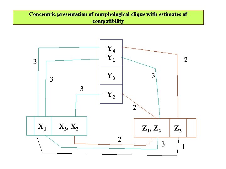 Concentric presentation of morphological clique with estimates of compatibility Y 4 Y 1 3