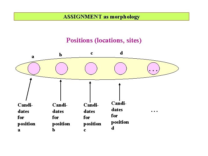 ASSIGNMENT as morphology Positions (locations, sites) a b c d . . . Candidates