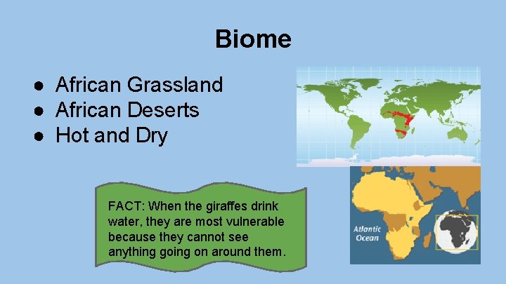 Biome ● African Grassland ● African Deserts ● Hot and Dry FACT: When the