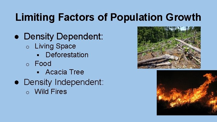 Limiting Factors of Population Growth ● Density Dependent: Living Space § Deforestation o Food Limiting Factors of Population Growth ● Density Dependent: Living Space § Deforestation o Food