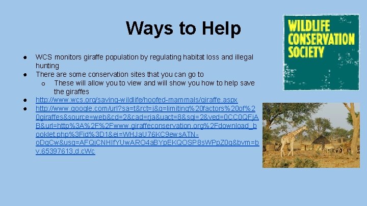 Ways to Help ● ● WCS monitors giraffe population by regulating habitat loss and