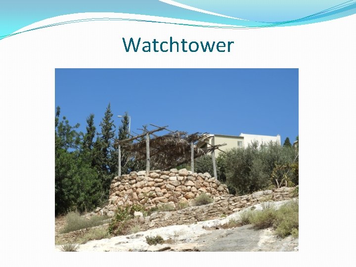 Watchtower 