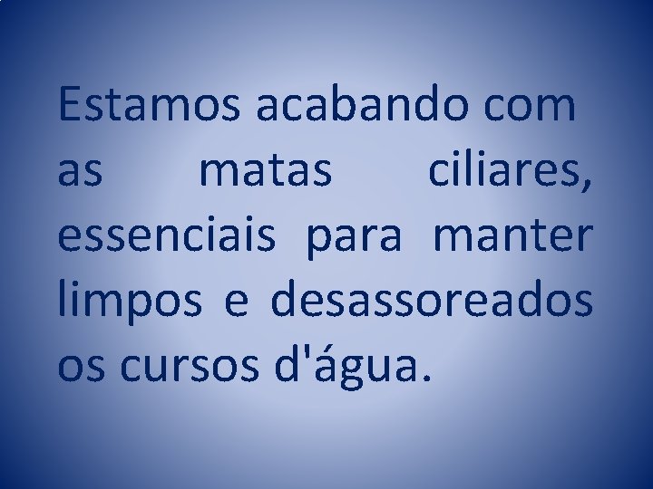 Estamos acabando com as matas ciliares, essenciais para manter limpos e desassoreados os cursos