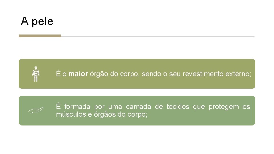 A pele É o maior órgão do corpo, sendo o seu revestimento externo; É A pele É o maior órgão do corpo, sendo o seu revestimento externo; É