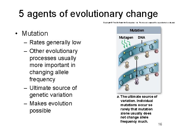 5 agents of evolutionary change Copyright © The Mc. Graw-Hill Companies, Inc. Permission required