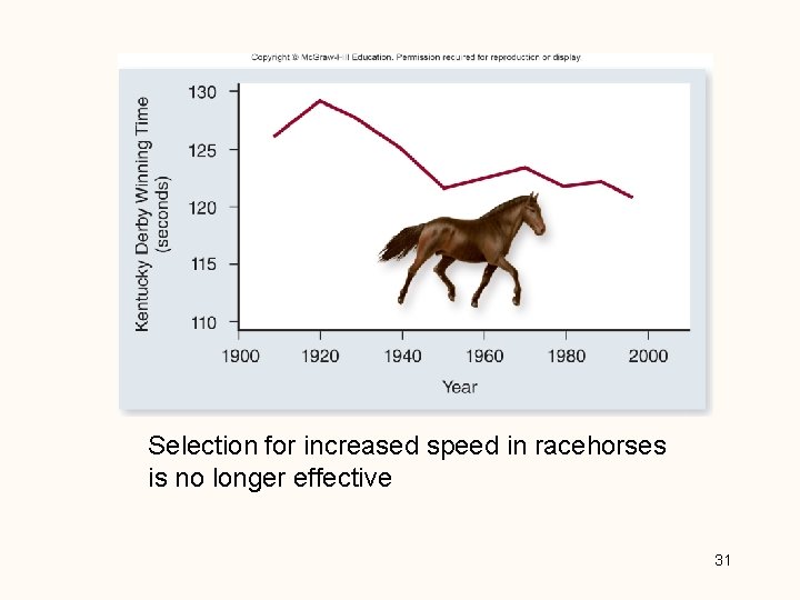 Selection for increased speed in racehorses is no longer effective 31 