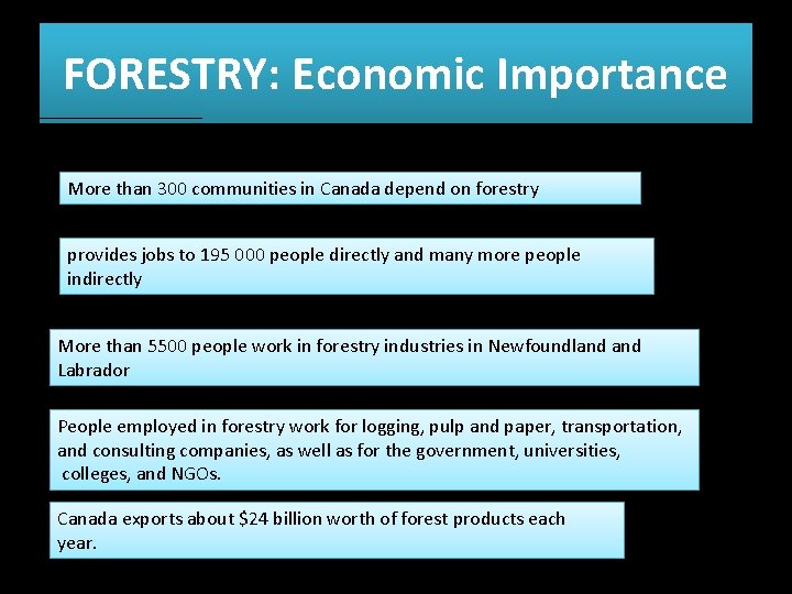 FORESTRY: Economic Importance More than 300 communities in Canada depend on forestry provides jobs