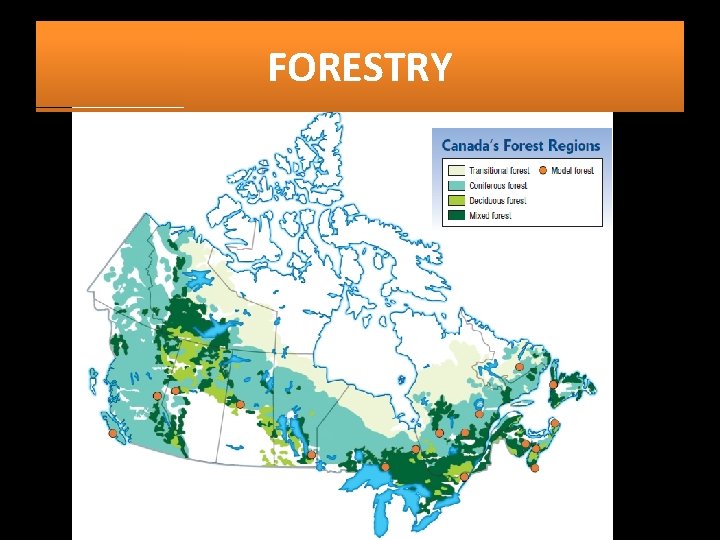 FORESTRY 