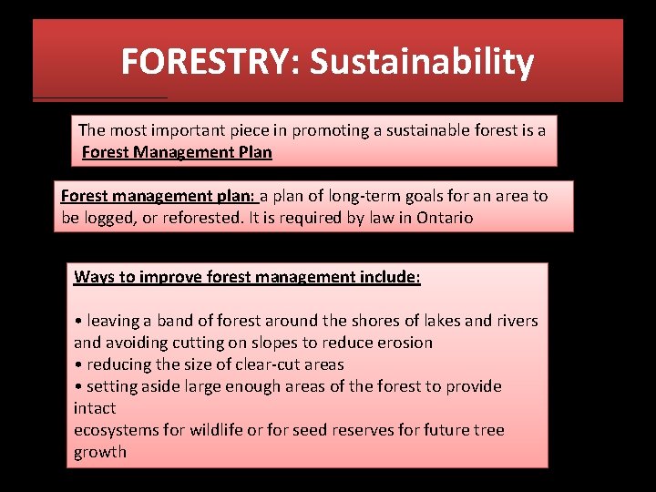 FORESTRY: Sustainability The most important piece in promoting a sustainable forest is a Forest