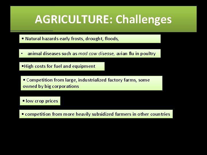 AGRICULTURE: Challenges • Natural hazards early frosts, drought, floods, • animal diseases such as