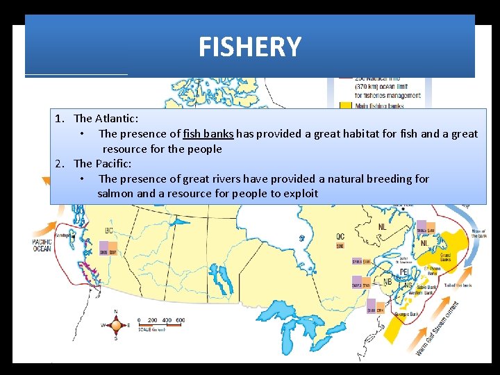 FISHERY 1. The Atlantic: • The presence of fish banks has provided a great