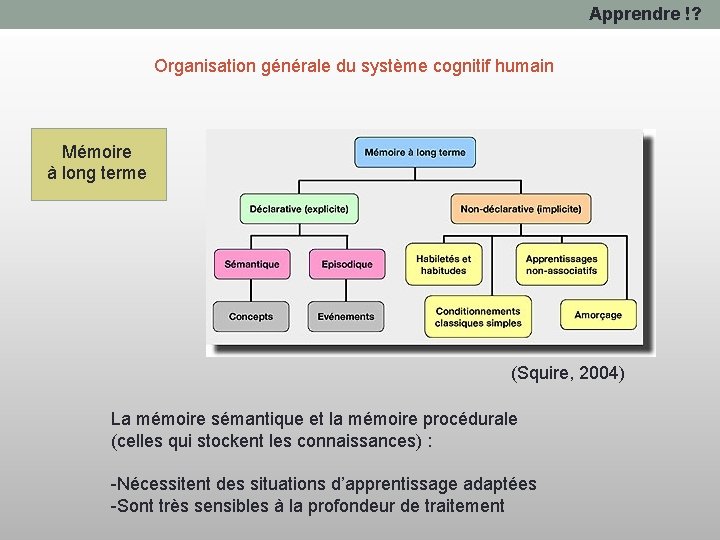 Apprendre !? Organisation générale du système cognitif humain Mémoire à long terme (Squire, 2004)