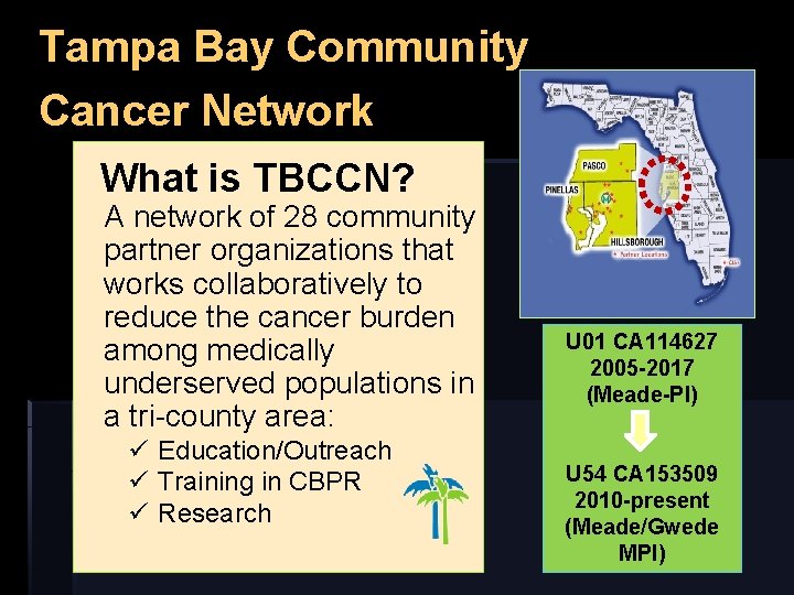 Tampa Bay Community Cancer Network What is TBCCN? A network of 28 community partner