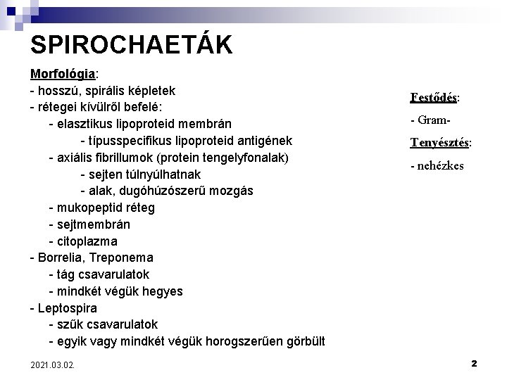 SPIROCHAETÁK Morfológia: - hosszú, spirális képletek - rétegei kívülről befelé: - elasztikus lipoproteid membrán